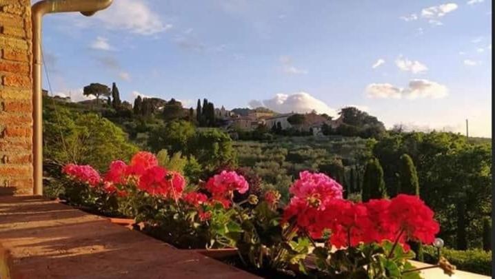 Leonaerdo Guests House Daire Panicale Dış mekan fotoğraf